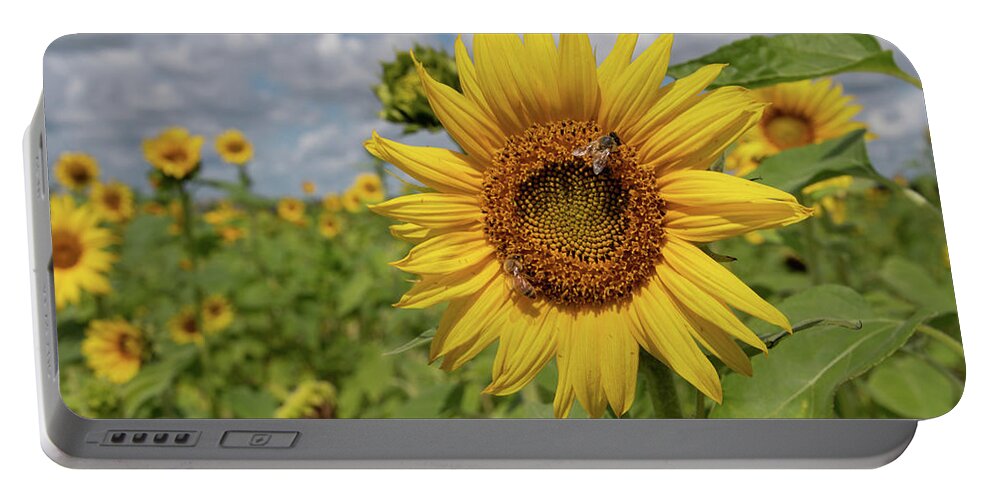 Sunflower Portable Battery Charger featuring the photograph Honeybee on Sunflower by Carolyn Hutchins