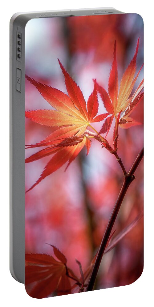 Leaves Portable Battery Charger featuring the photograph Hope is Red by Philippe Sainte-Laudy