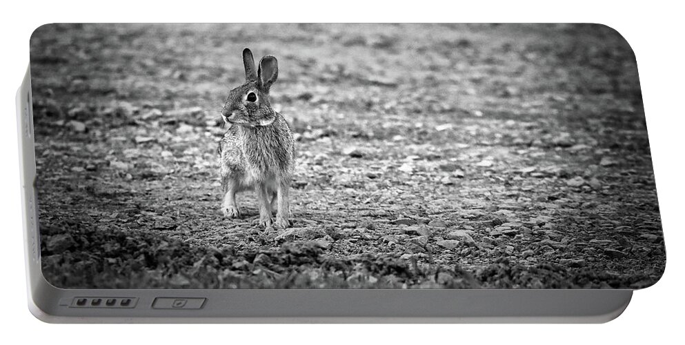 Rabbit Portable Battery Charger featuring the photograph Hoppy In Black and White by Scott Burd