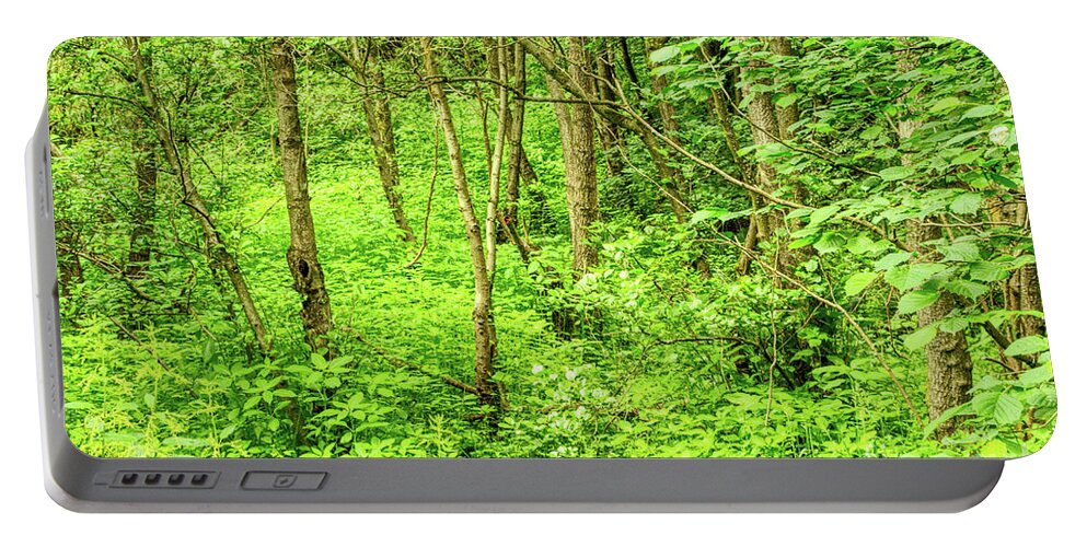 Digital Art Portable Battery Charger featuring the photograph Hopwood Woods Nature Reserve Manchester England UK by Pics By Tony