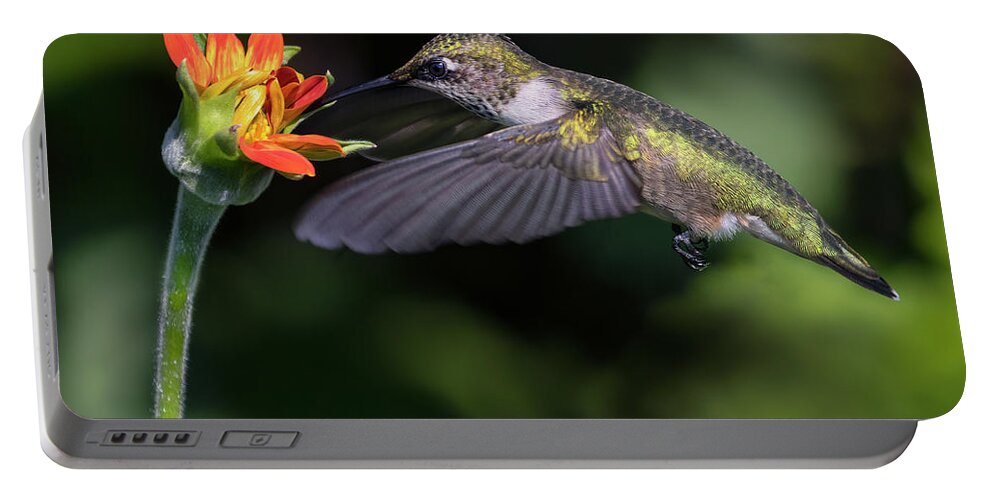 Bird Portable Battery Charger featuring the photograph Tasty Zinnia by Art Cole