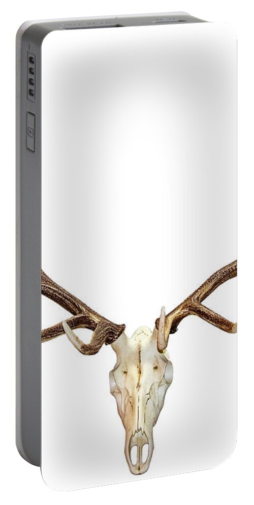 Room For Copy Portable Battery Charger featuring the photograph Horned Skull on White by Susan Vineyard