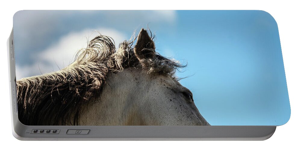 Horse Portable Battery Charger featuring the photograph Horse and Sky by Listen To Your Horse