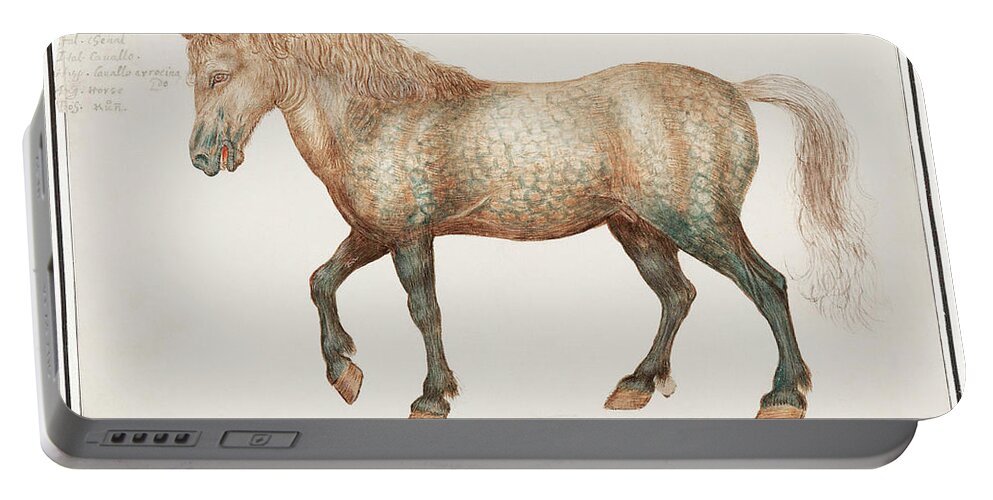 Old Painting Of A Horse Portable Battery Charger featuring the mixed media Horse by World Art Collective