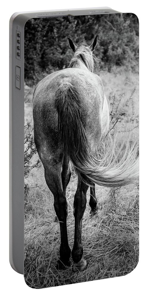 Horse Portable Battery Charger featuring the photograph Horse Butt by Nicklas Gustafsson