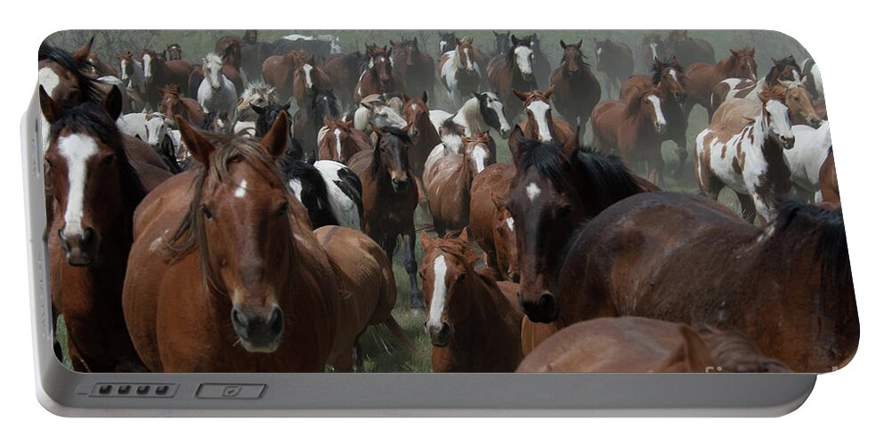 Herd Portable Battery Charger featuring the photograph Horse Herd 2 by Jody Miller