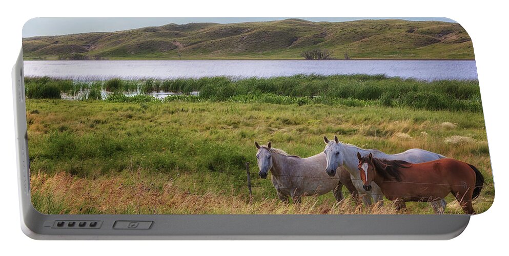 Horses Portable Battery Charger featuring the photograph Horses at Beem Lake - Sandhills Journey by Susan Rissi Tregoning