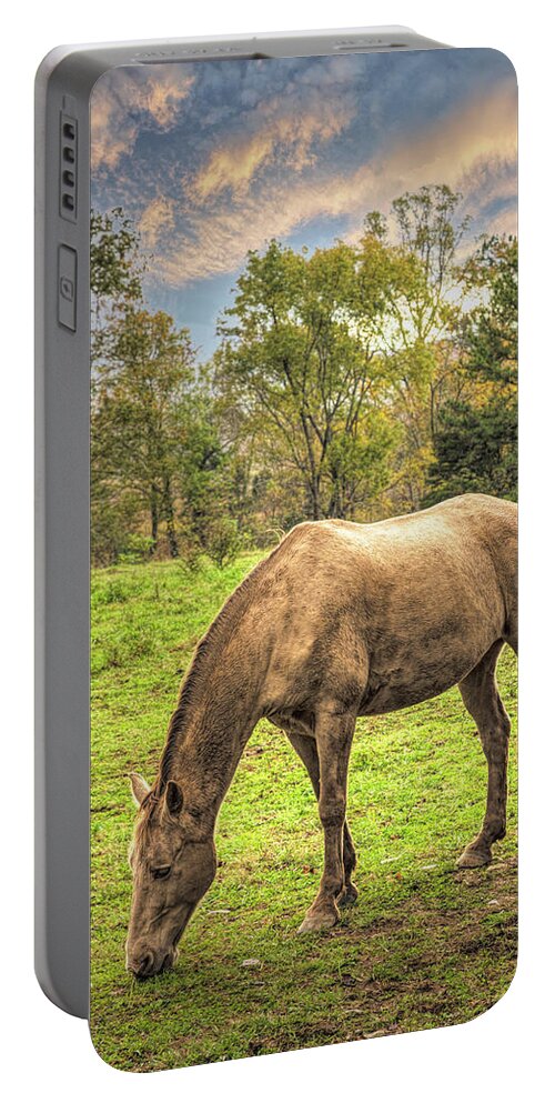 Cades Portable Battery Charger featuring the photograph Horses Grazing in Cades Cove by Debra and Dave Vanderlaan
