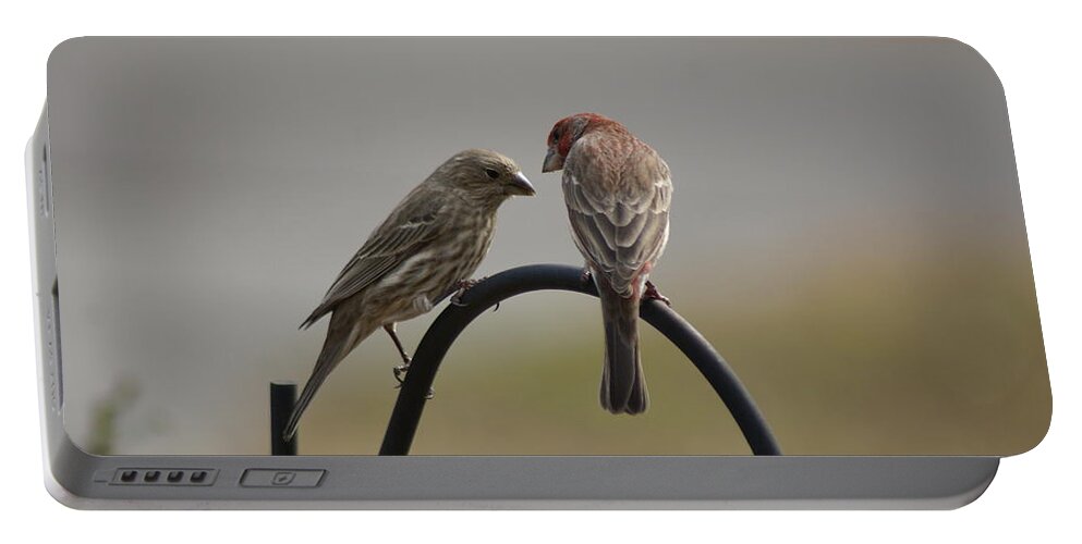  Portable Battery Charger featuring the photograph House Finch Pair by Heather E Harman