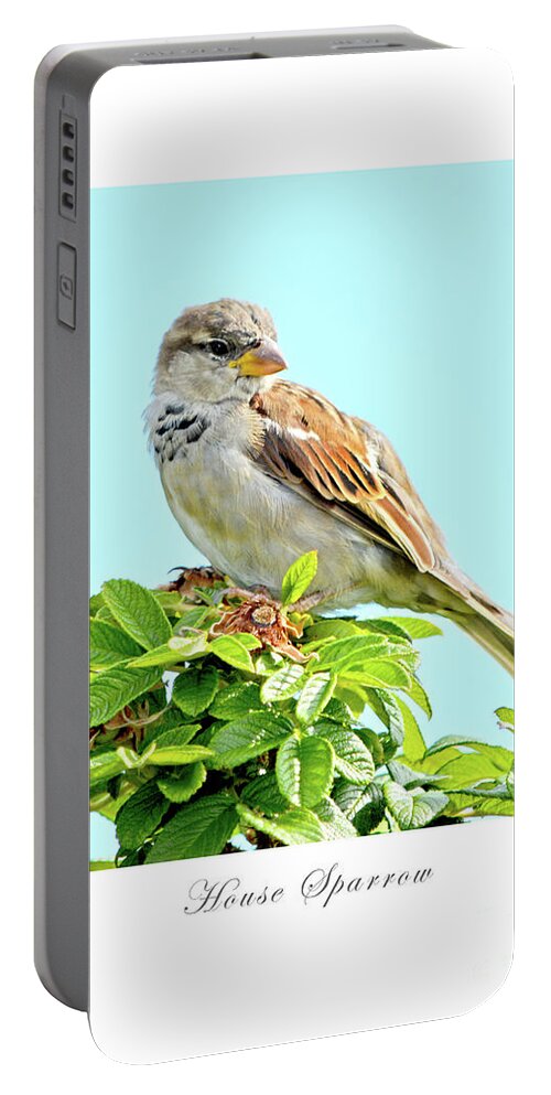 Bird Portable Battery Charger featuring the photograph House Sparrow by Dianne Morgado