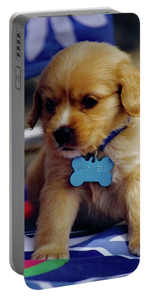 Puppy Portable Battery Charger featuring the photograph Huggy Bear by Jennifer Robin