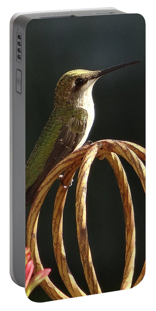 5 Star Portable Battery Charger featuring the photograph Hummers on Deck- 2-04 by Christopher Plummer