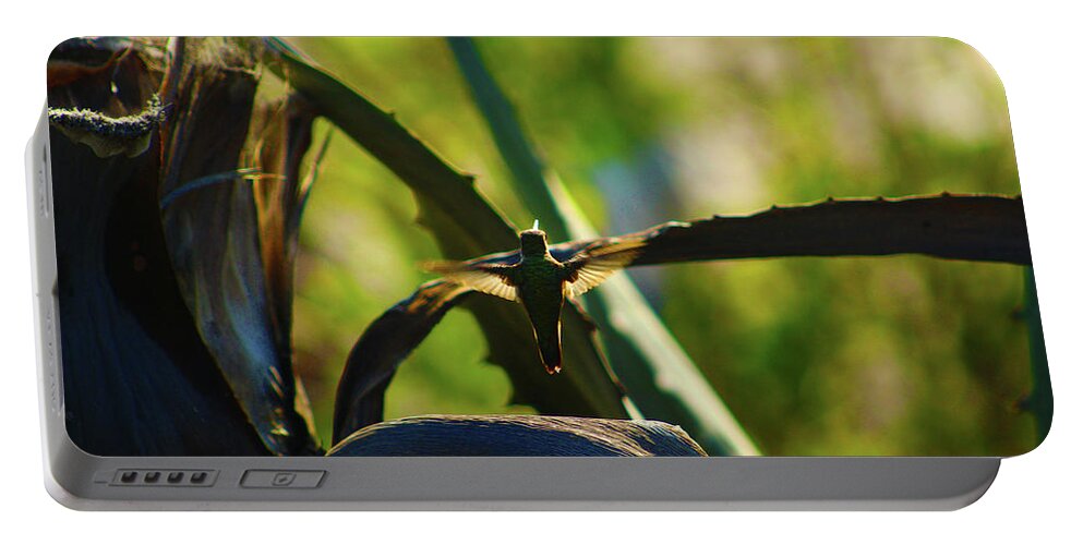 Nature Portable Battery Charger featuring the photograph Humming Bird at the Beach by Marcus Jones
