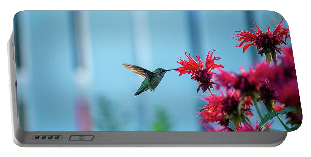 Monarda Didyma Portable Battery Charger featuring the photograph Hummingbird and Red Bee Balm II by Rachel Morrison
