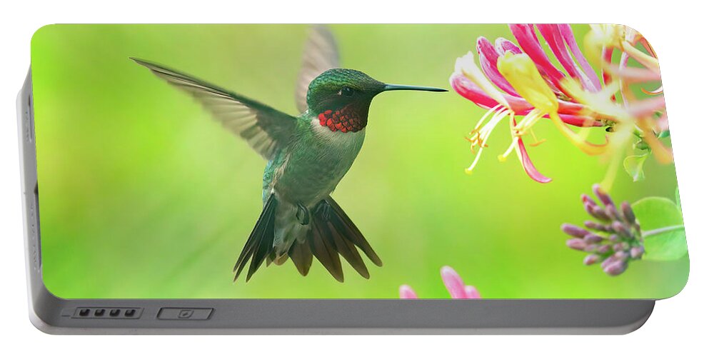 Nature Portable Battery Charger featuring the photograph Hummingbird Beauty by Linda Shannon Morgan