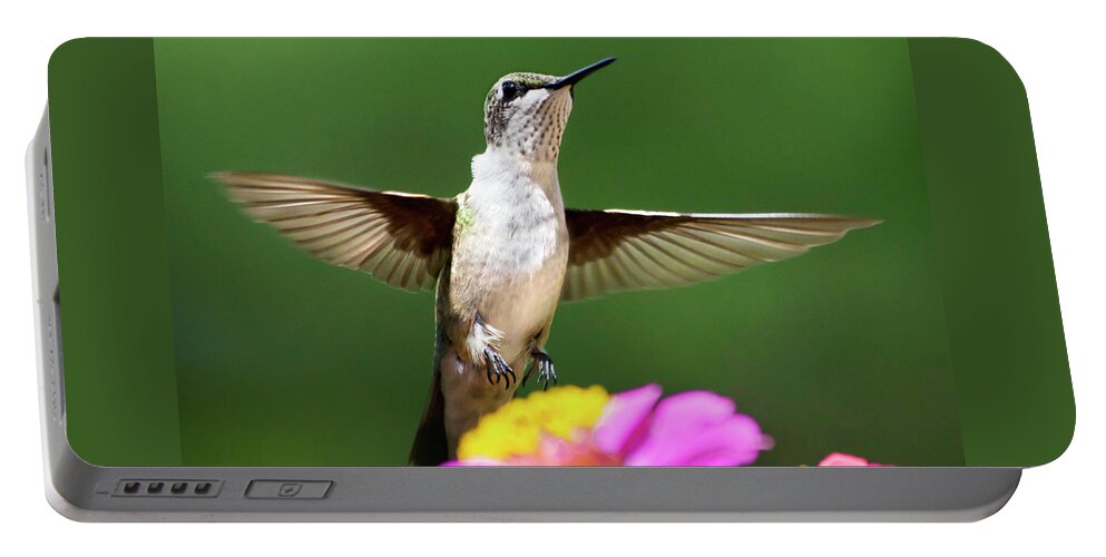 Hummingbird Portable Battery Charger featuring the photograph Hummingbird by Christina Rollo