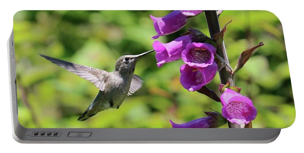 Hummingbird Portable Battery Charger featuring the photograph Hummingbird in Pink Foxglove by Carol Groenen