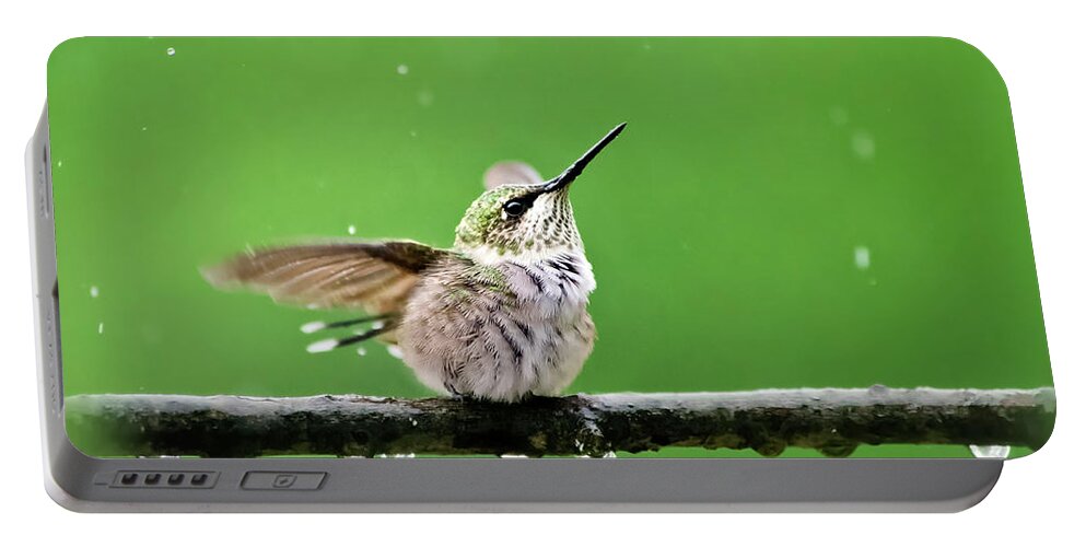 Hummingbird Portable Battery Charger featuring the photograph Hummingbird In The Rain by Christina Rollo