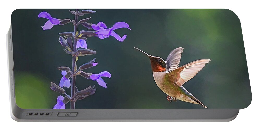 Hummingbird Portable Battery Charger featuring the photograph Hummingbird in the Summer Garden by Mary Lynn Giacomini