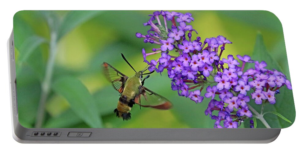 Hummingbird Moth Portable Battery Charger featuring the photograph Hummingbird Moth And Buddleia by Debbie Oppermann