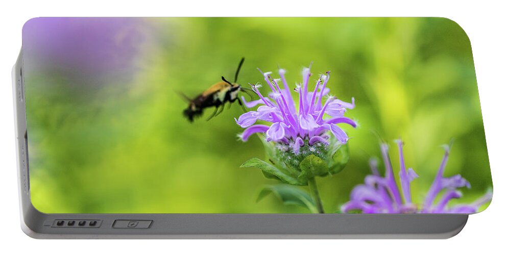 Plants Portable Battery Charger featuring the photograph Hummingbird Moth - Delaware Water Gap by Amelia Pearn
