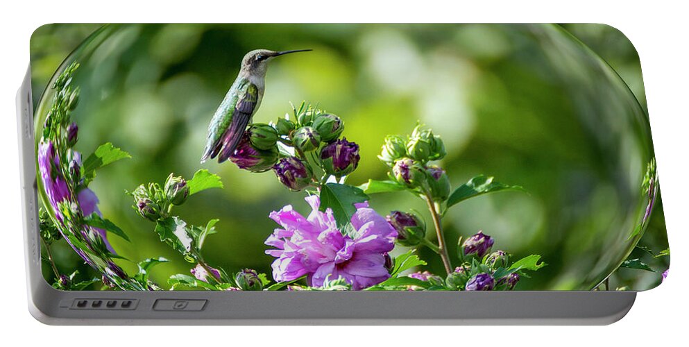 Hummingbird Portable Battery Charger featuring the photograph Hummingbird Sitting by Diane Lindon Coy