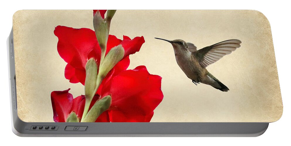 Hummingbird Portable Battery Charger featuring the photograph Hummingbird with Red Gladiolus Creative by Carol Groenen
