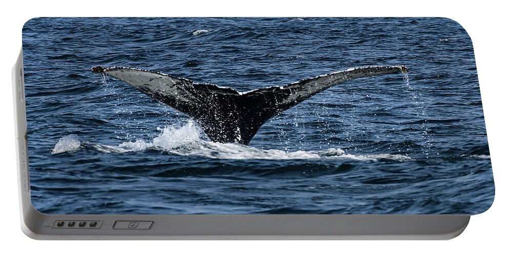 Whale Portable Battery Charger featuring the photograph Humpback Fluke - Monterrey Bay by Amazing Action Photo Video