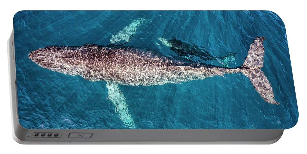 Humpback Whale Portable Battery Charger featuring the photograph Humpback Whale and Baby by Christopher Johnson