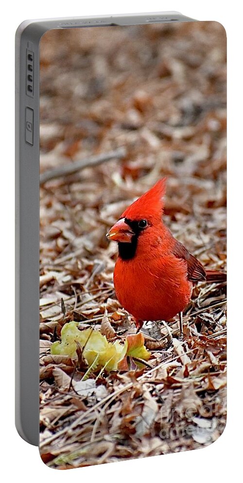 Hungry Male Northern Cardinal Portable Battery Charger featuring the digital art Hungry Male Northern Cardinal by Tammy Keyes