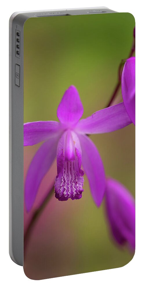 Hyacinth Orchid Portable Battery Charger featuring the photograph Hyacinth Orcchid by Yuka Kato