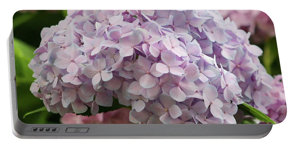Hydrangea Portable Battery Charger featuring the photograph Hydrangea in Full Bloom by Mary Anne Delgado