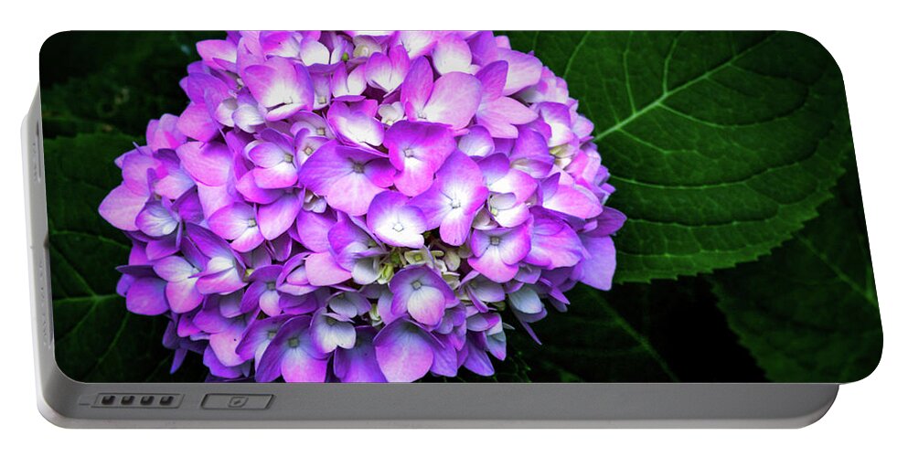 Hydrangea Portable Battery Charger featuring the photograph Hydrangea by Susie Loechler