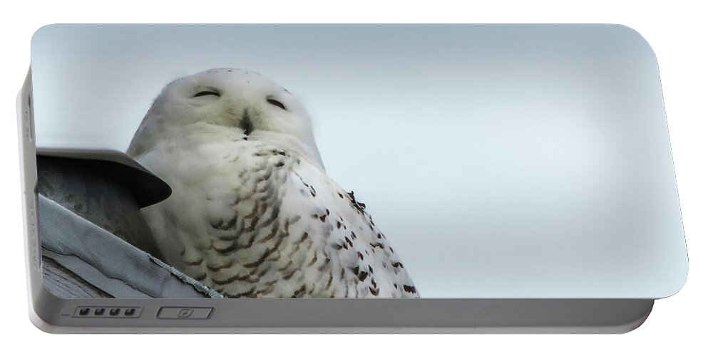 Snowy Owl Portable Battery Charger featuring the photograph I Am So Sleepy by Randy J Heath
