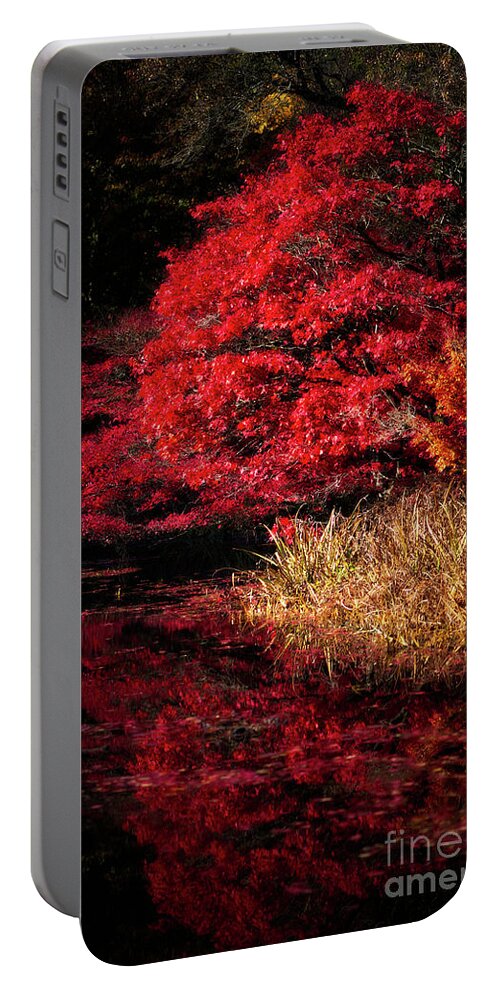 Botanical Portable Battery Charger featuring the photograph I Can't Stop Looking at My Reflection by Venetta Archer
