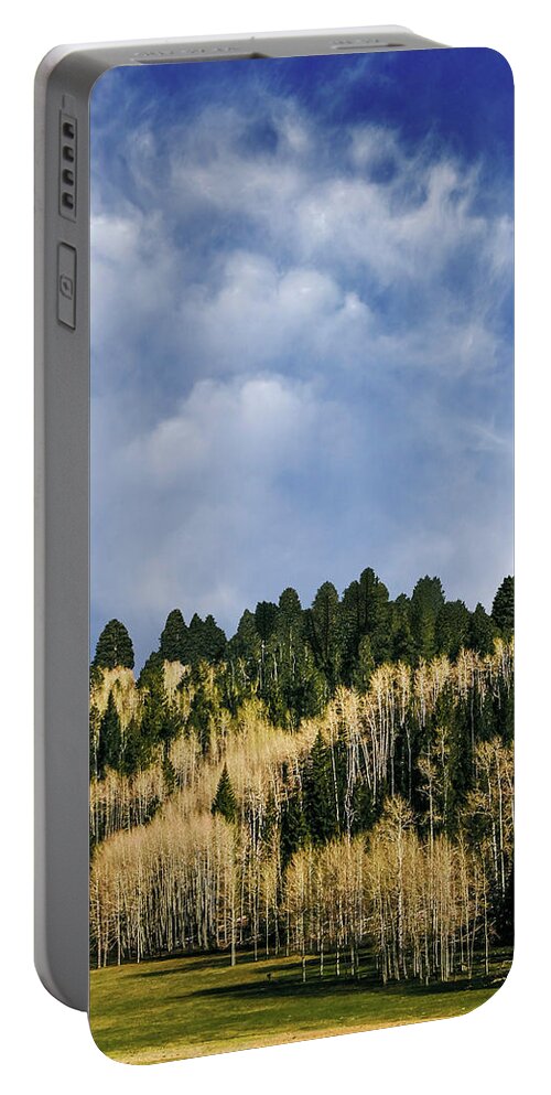 Nature Portable Battery Charger featuring the photograph I Like To Watch by The Walkers