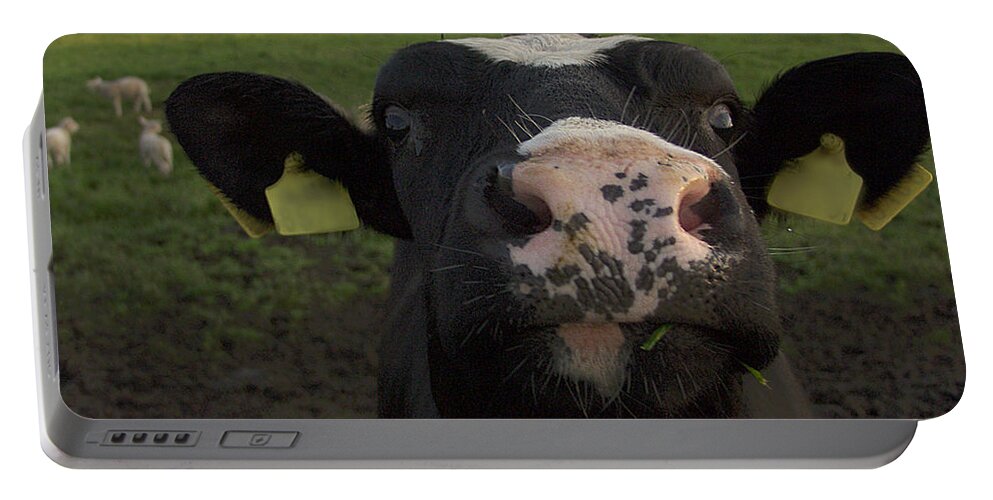Cow Portable Battery Charger featuring the photograph I Love Grass by Luc Van de Steeg