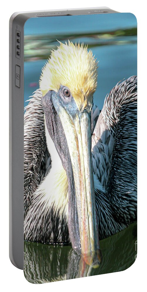 Brown Pelican Portable Battery Charger featuring the photograph I see you, says Brownie by Joanne Carey