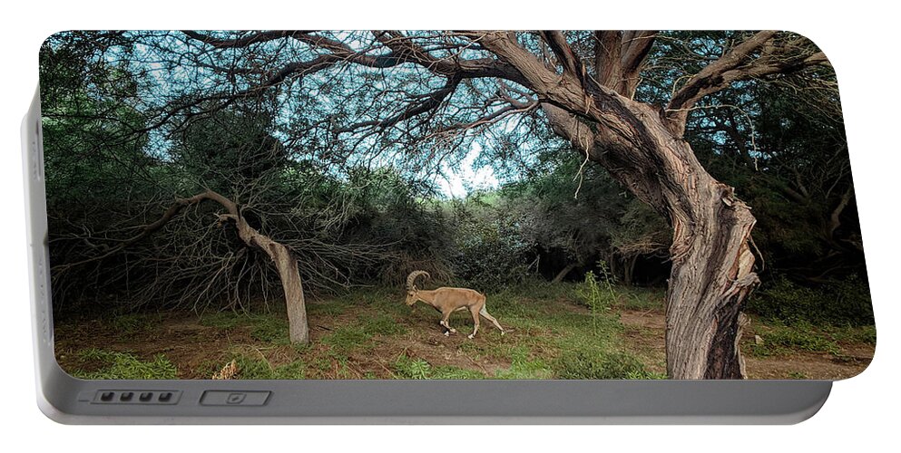 Ibex Portable Battery Charger featuring the digital art Ibex in the Negev by Constance Woods