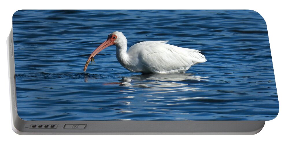 Ibis Portable Battery Charger featuring the photograph Ibis Fishing by Beth Myer Photography