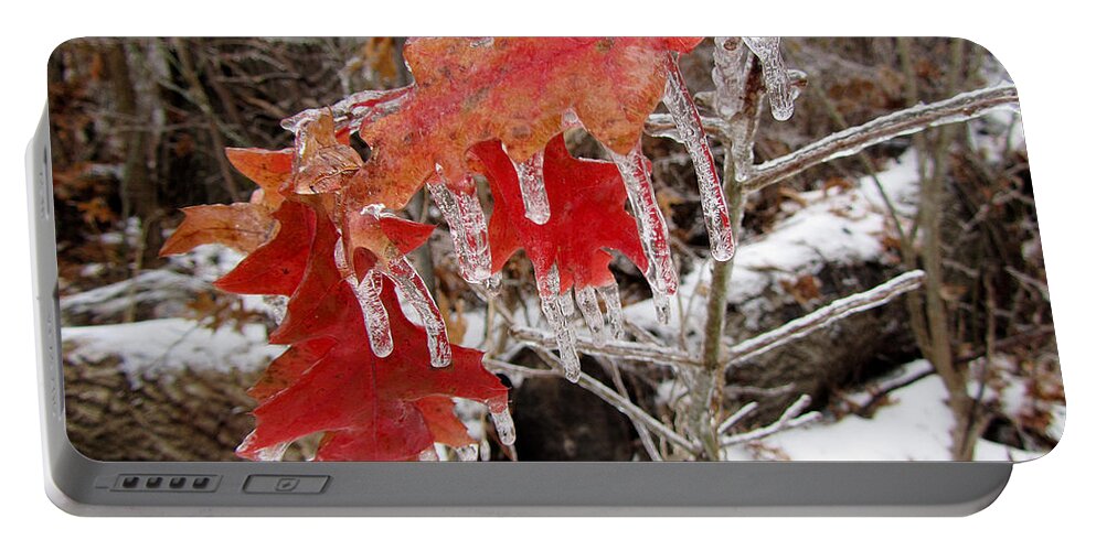Fstop101 Ice Winter Nature Coated Red Leaves Leaf Portable Battery Charger featuring the photograph Ice Covered Leaves by Geno Lee