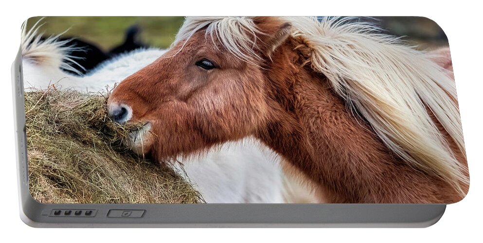 Iceland Portable Battery Charger featuring the photograph Icelandic Farm Horse by Gary Johnson