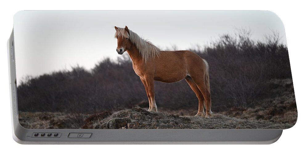Iceland Portable Battery Charger featuring the photograph Icelandic Horse Brown Blonde by William Kennedy