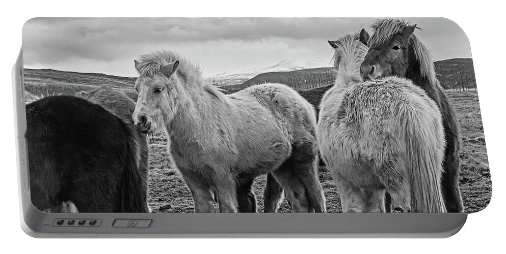 Iceland Portable Battery Charger featuring the photograph Icelandic Horse Cuddle Iceland Black and White by Toby McGuire
