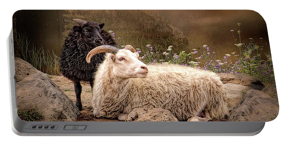 Icelandic Sheep Portable Battery Charger featuring the digital art Icelandic Sheep by Maggy Pease