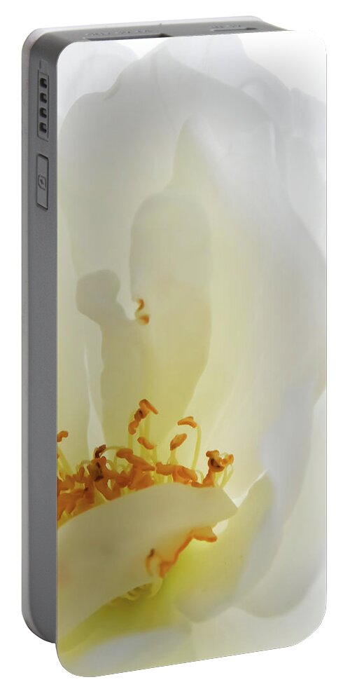 Flower Portable Battery Charger featuring the photograph Icy by Gena Herro