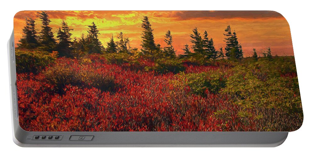 Dolly Sods Portable Battery Charger featuring the photograph Impressionistic Dolly Sods by Art Cole