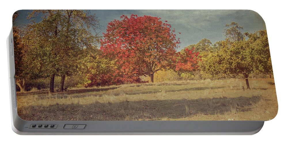 Impressionism Portable Battery Charger featuring the photograph Impressions of Autumn by Elaine Teague