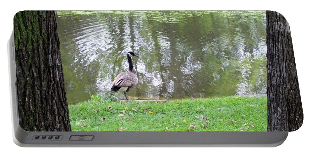 Canada Goose Portable Battery Charger featuring the photograph In Between by Mary Mikawoz
