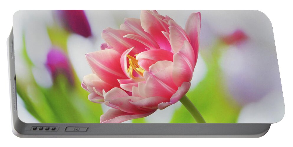Tulips Portable Battery Charger featuring the photograph In Front Of The Bunch by Terence Davis